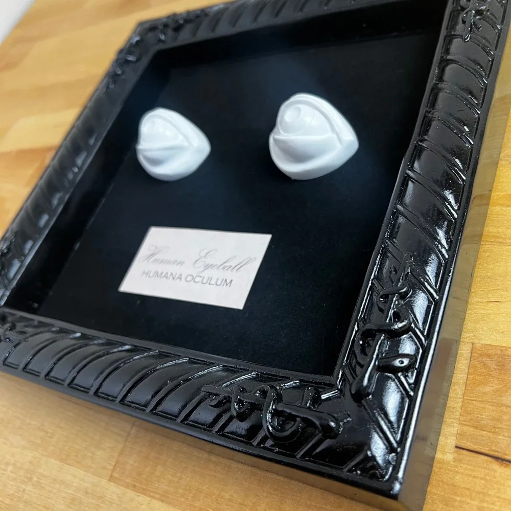 Seasons USA Inc. metal framed